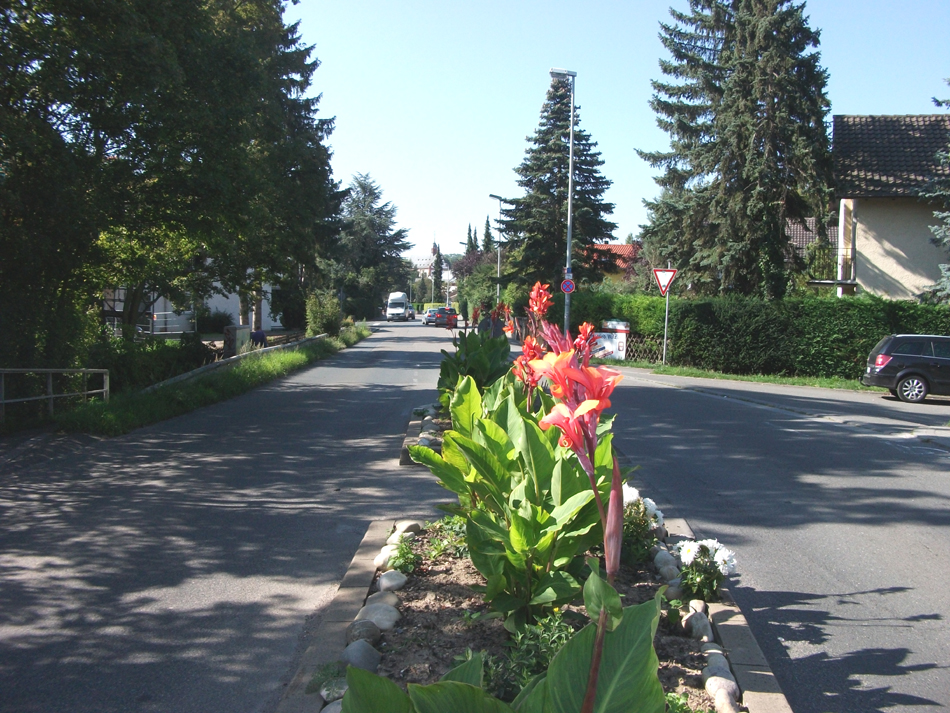 (c) Mainz-Marienborn.de